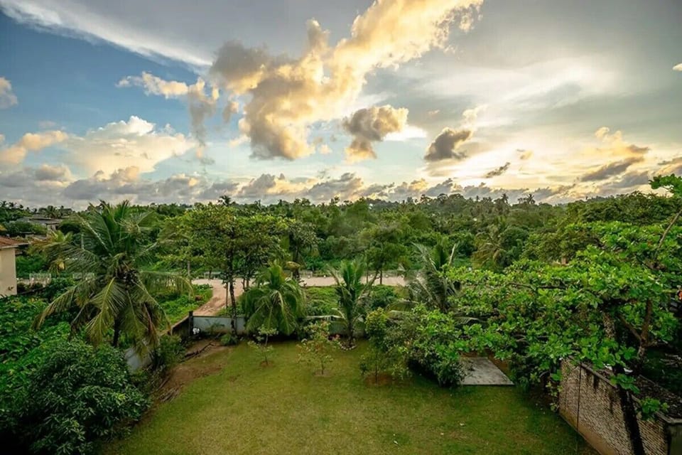 Garden view from the balcony
