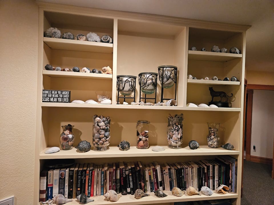 Our personal shell collection