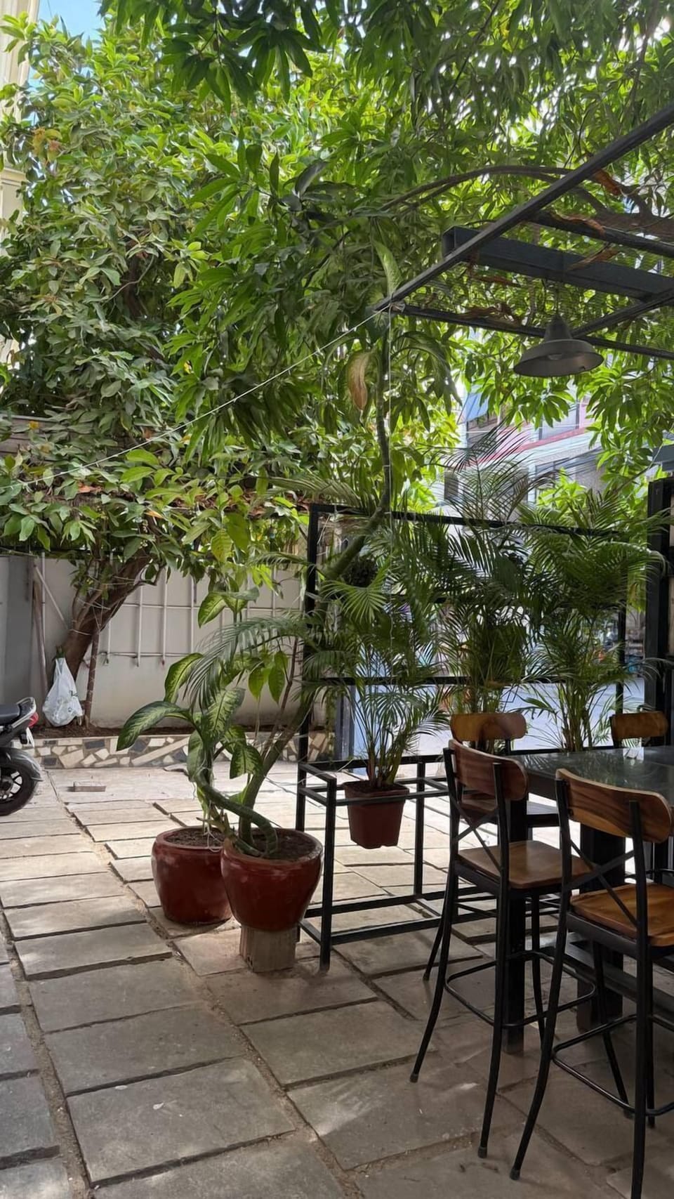 Outdoor wedding area