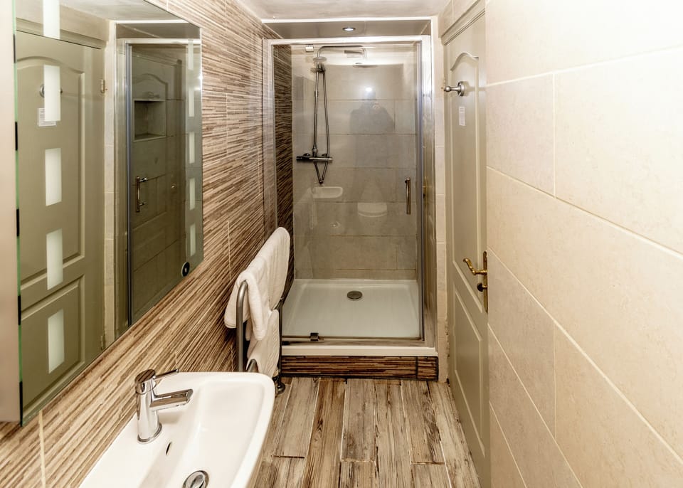 Standard Double or Twin Room | Bathroom | Shower, towels, soap, shampoo