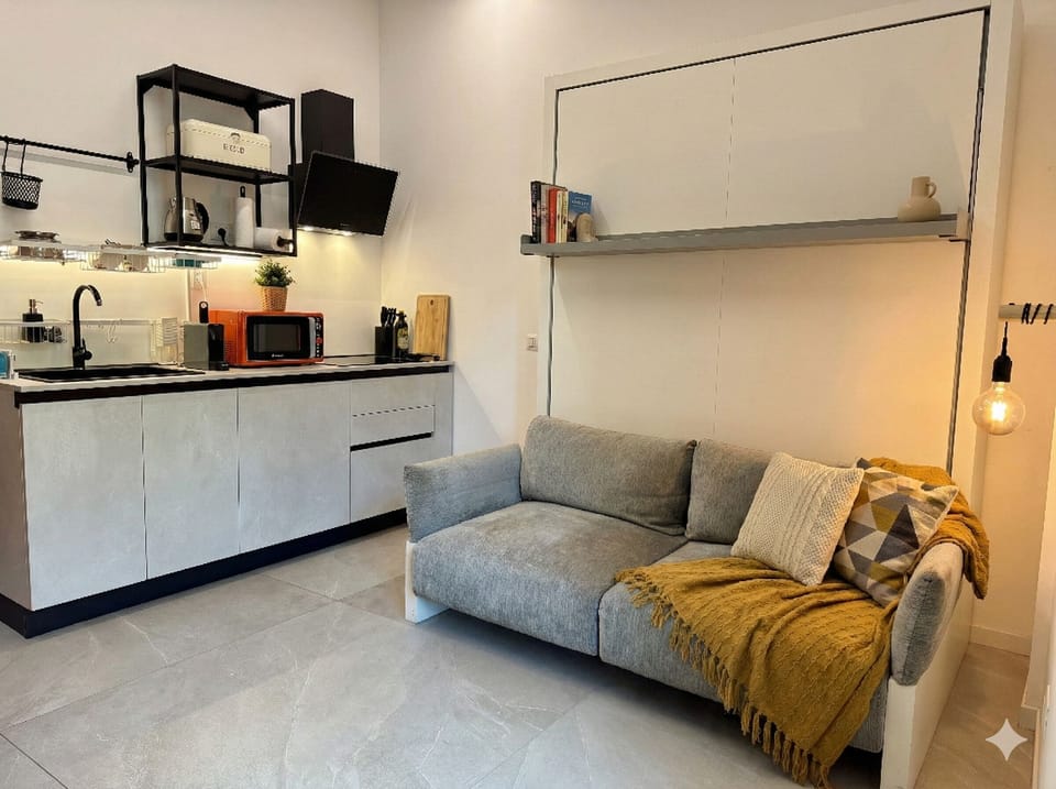 Deluxe Studio, Kitchenette | Individually decorated, individually furnished, soundproofing