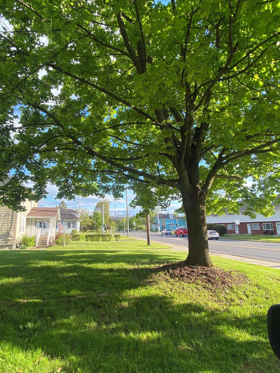 Property grounds