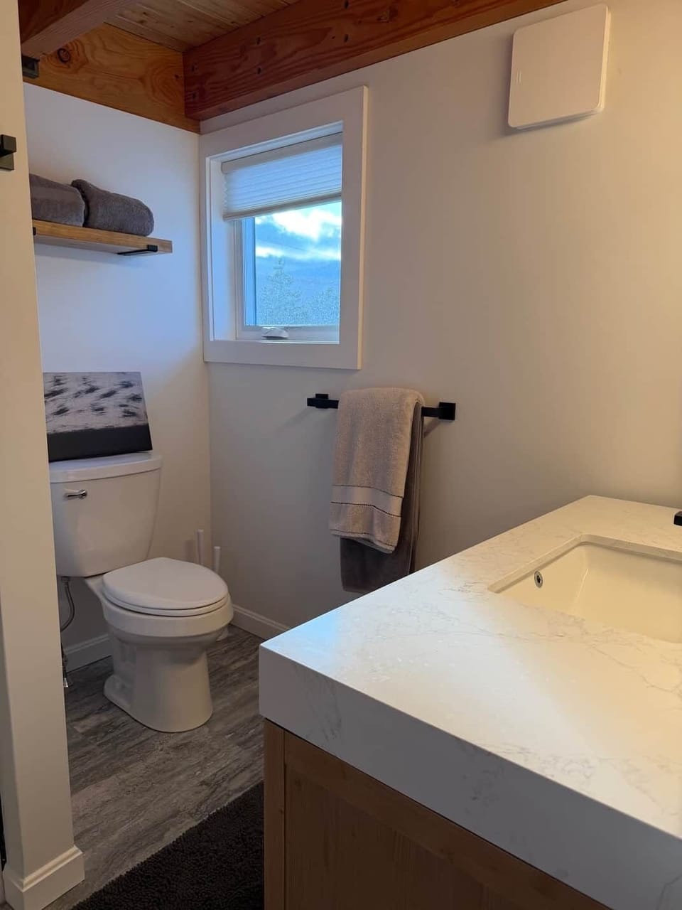 Master Bathroom Toilet