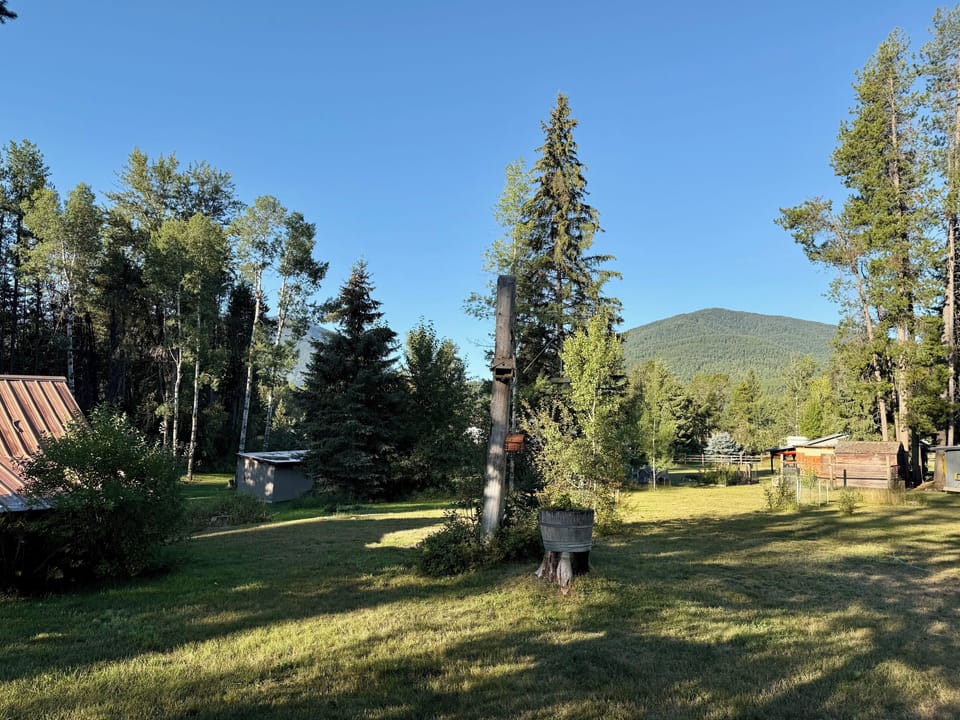 Large natural backyard! Stroll the property to enjoy the birds and wildflowers