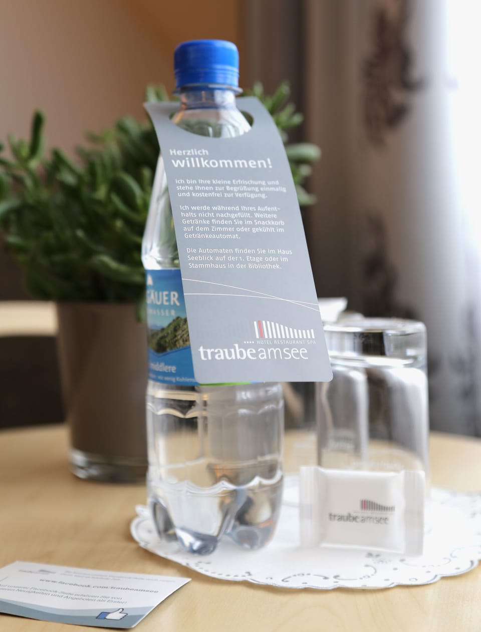 Standard Double Room | Room amenity