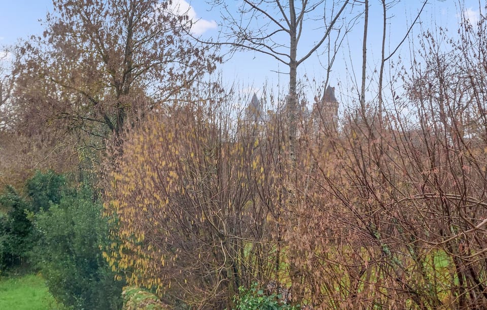 view-from-room
