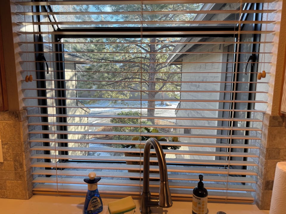 Serene Treehouse Kitchen Window View