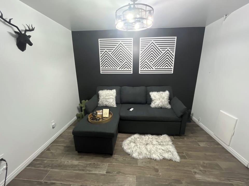 Enter into Living Room with Sofa  Sleeper and Doggy Door