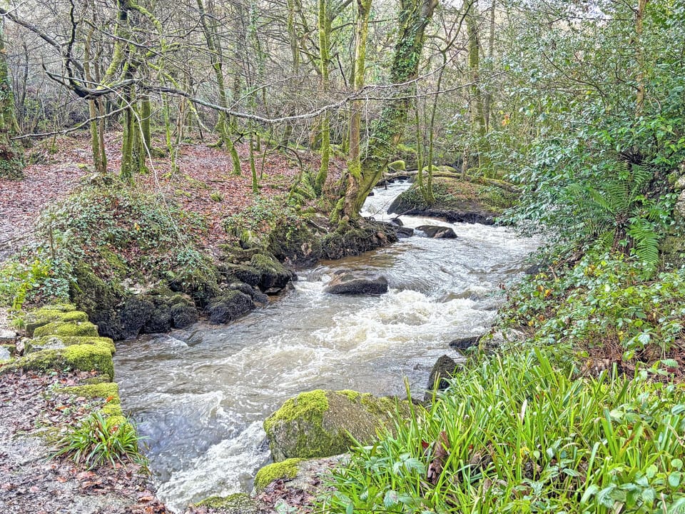 Local country walks | Spruce Cottage, Tywardreath, near Par