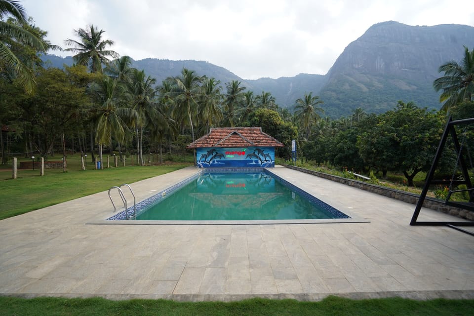 3 outdoor pools