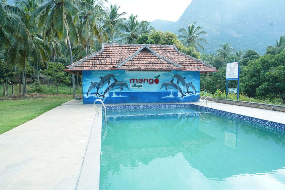 3 outdoor pools