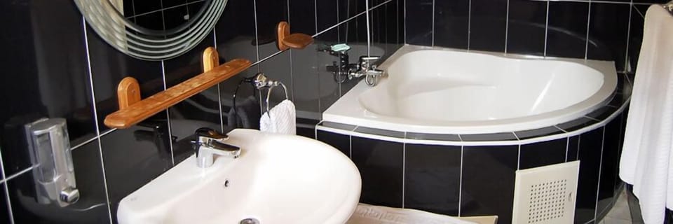 Executive Room | Bathroom | Free toiletries, towels, toilet paper