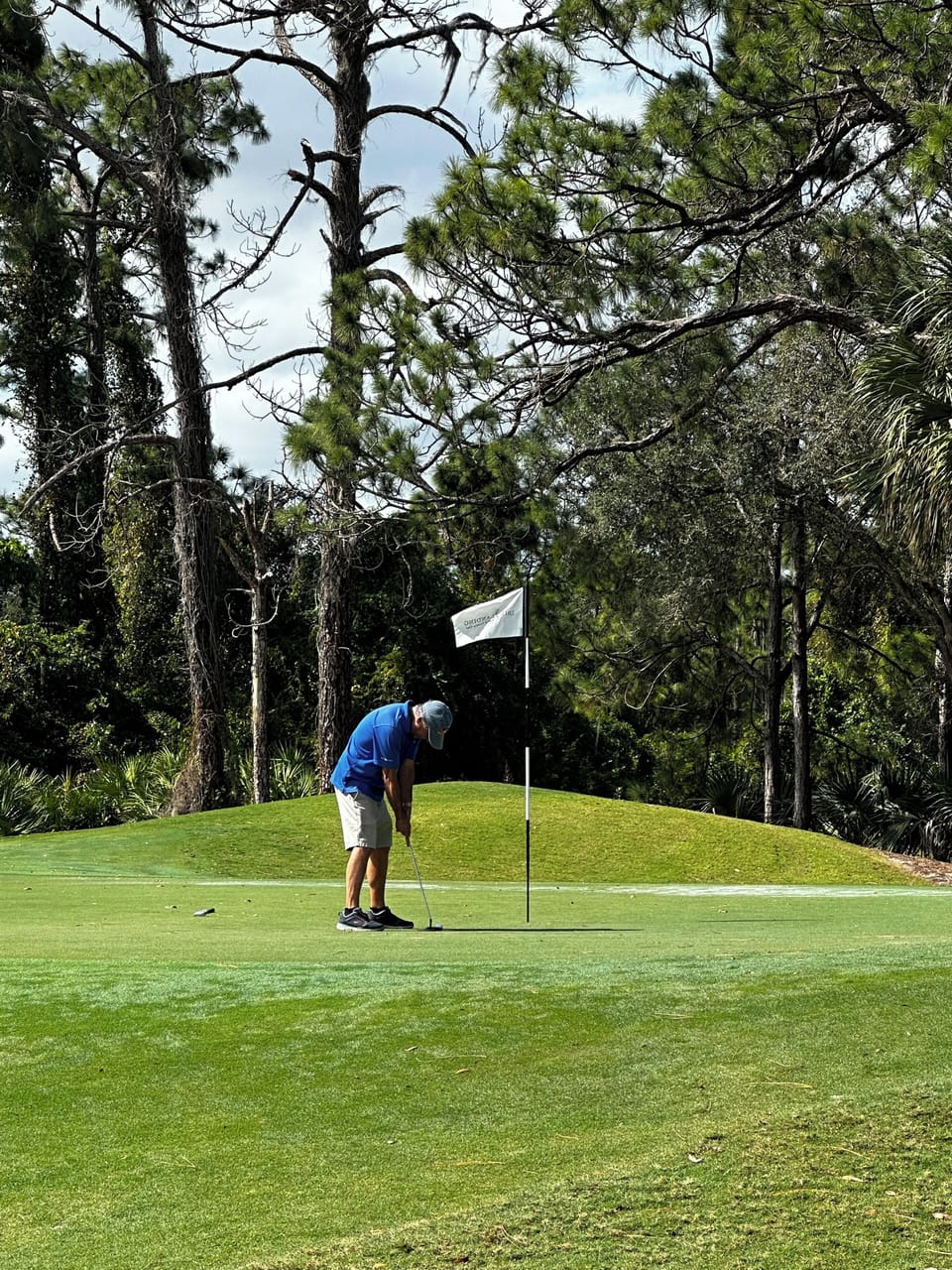 View of Ibis Landing 3 hole