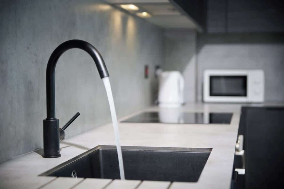 Basic Apartment | Private kitchen | Fridge, oven, stovetop, dishwasher