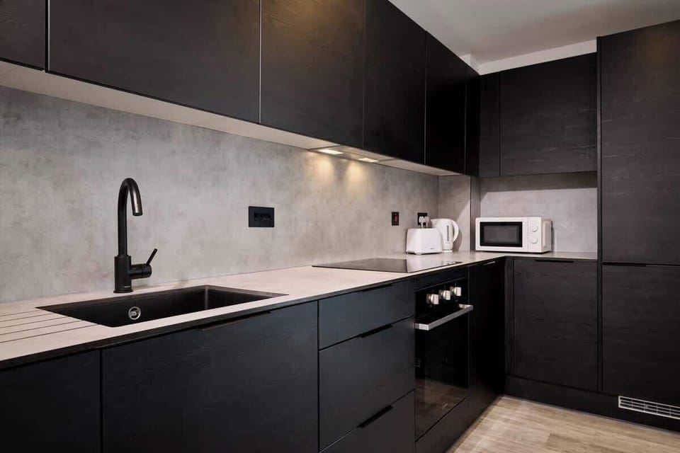 Basic Apartment | Private kitchen | Fridge, oven, stovetop, dishwasher