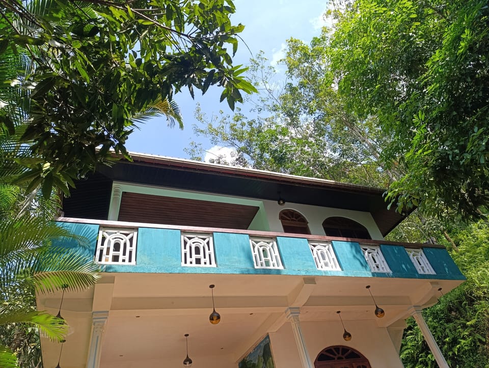 exterior view , sky view , garden view , surrounded by jungle