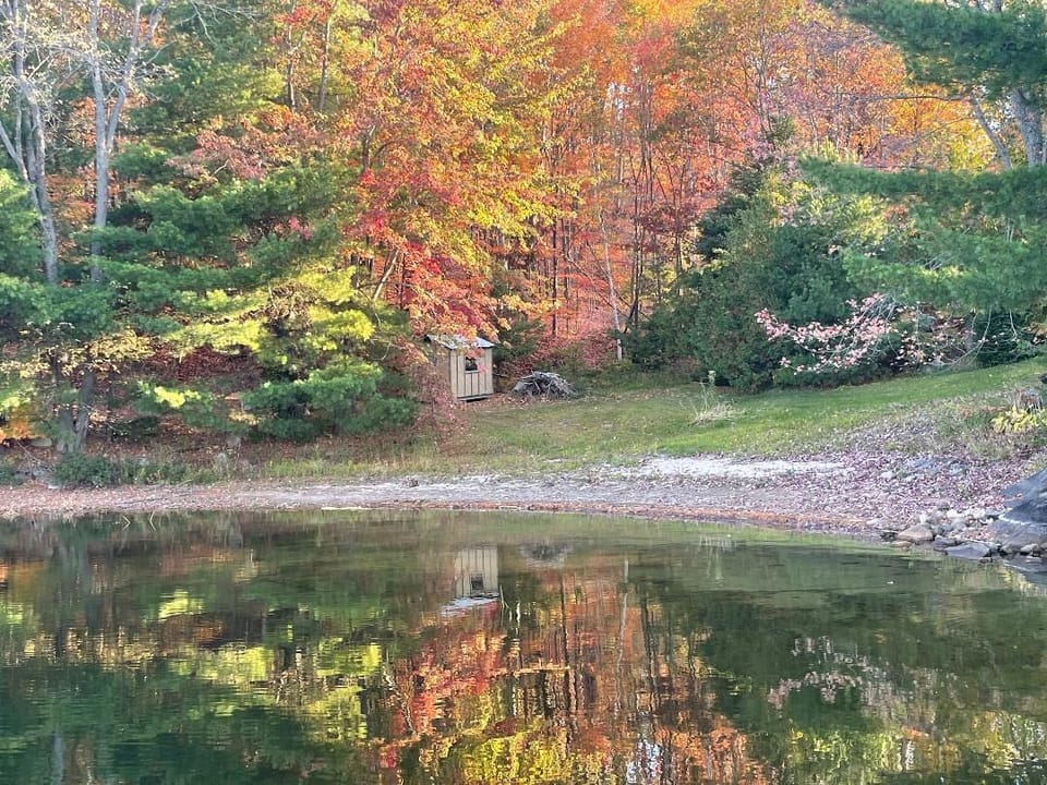 beach and fall colours
