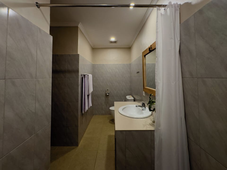 Superior Room, 2 Twin Beds | Bathroom | Shower, slippers, bidet, towels
