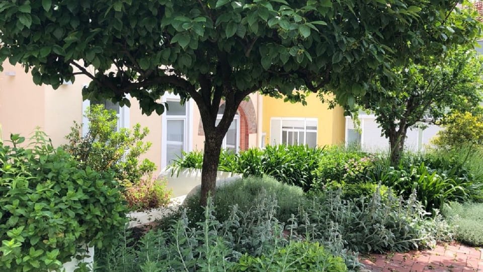 You'll have access to this communal outdoor garden where you can enjoy an afternoon drink.
#outdoor #garden #portugal #pt #lisbon
