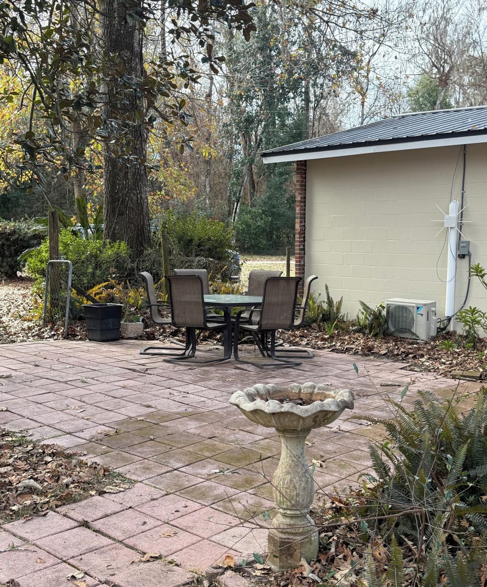 Back yard
