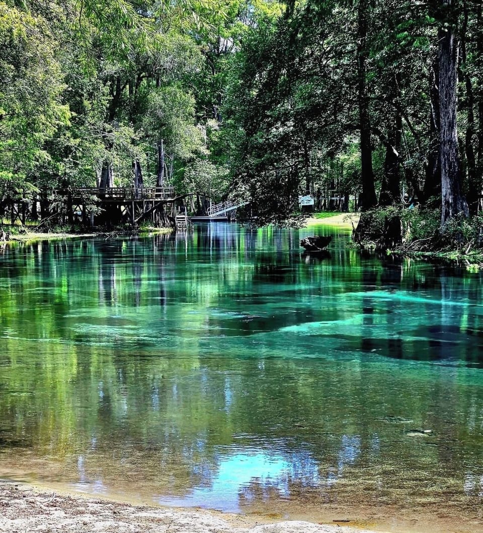 Tuber’s view of Ichetucknee River