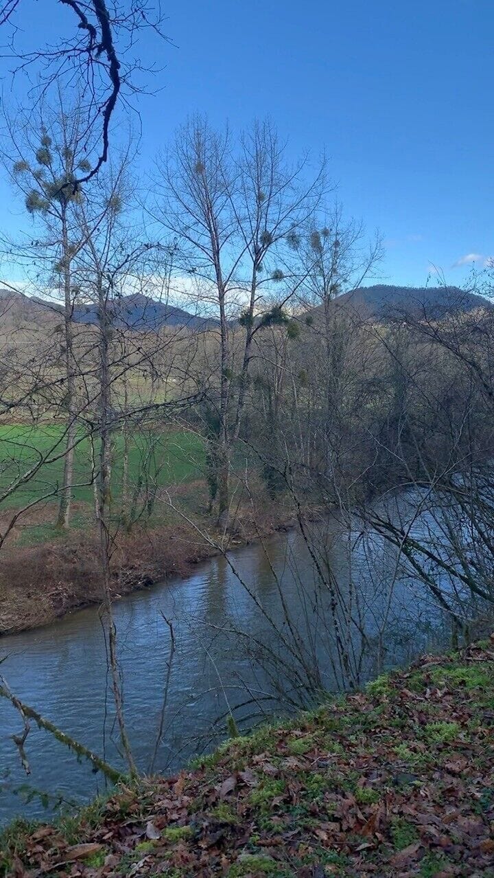 Hiking