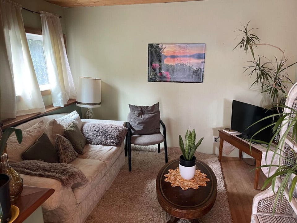 Lounge and family room