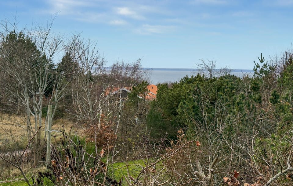 view-from-room