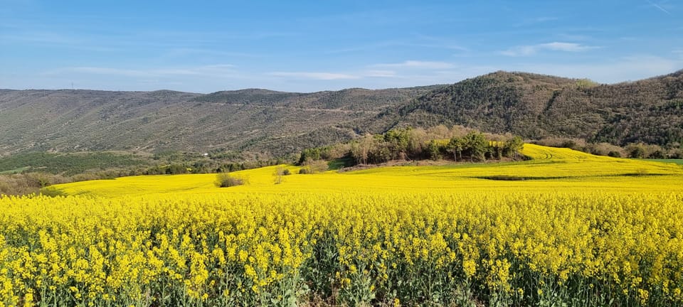 Land view from property