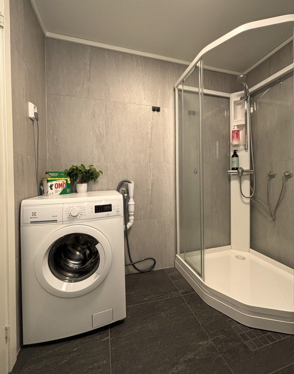 Bathroom with toilet, shower and washing machine