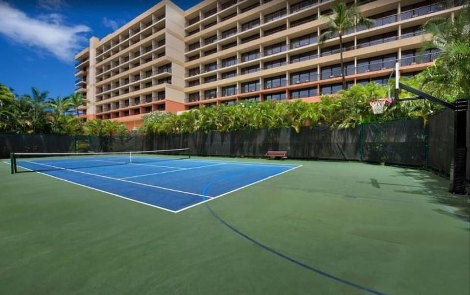 Sport court