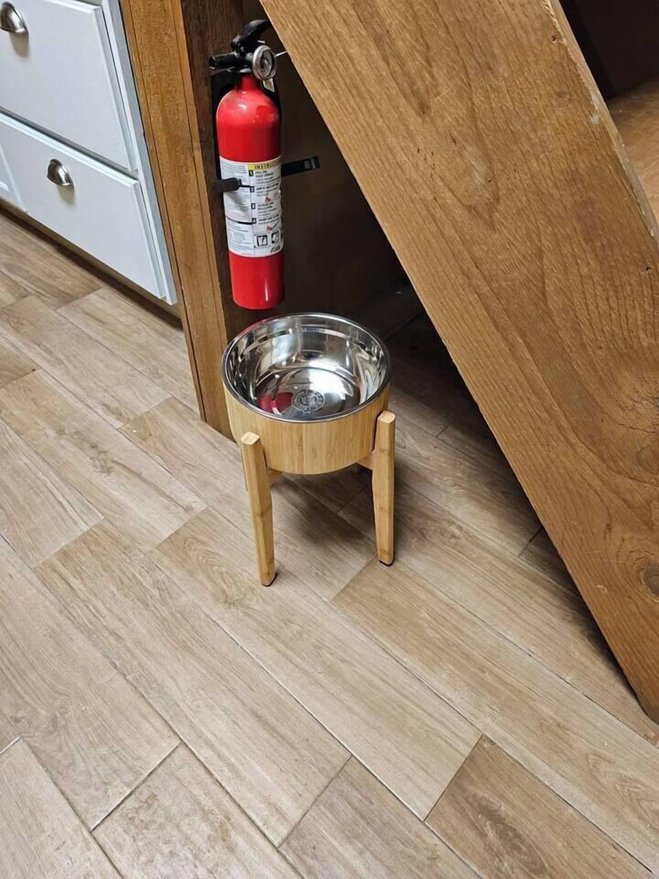 Even your pet has their own dish