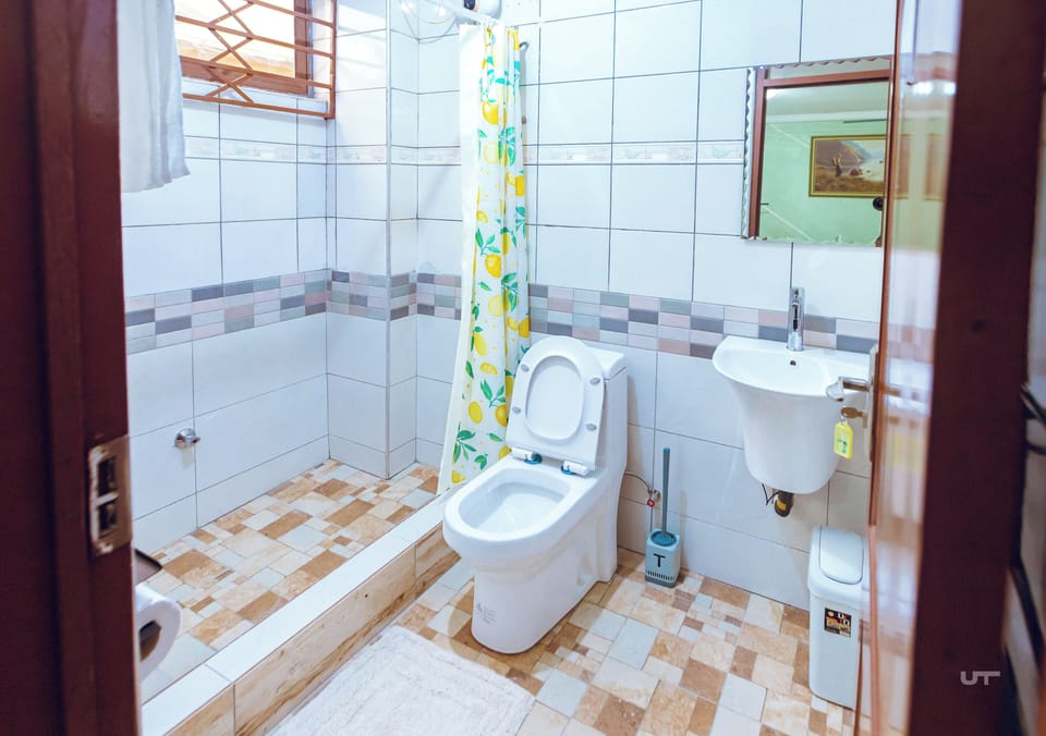 Shower, towels, soap, toilet paper