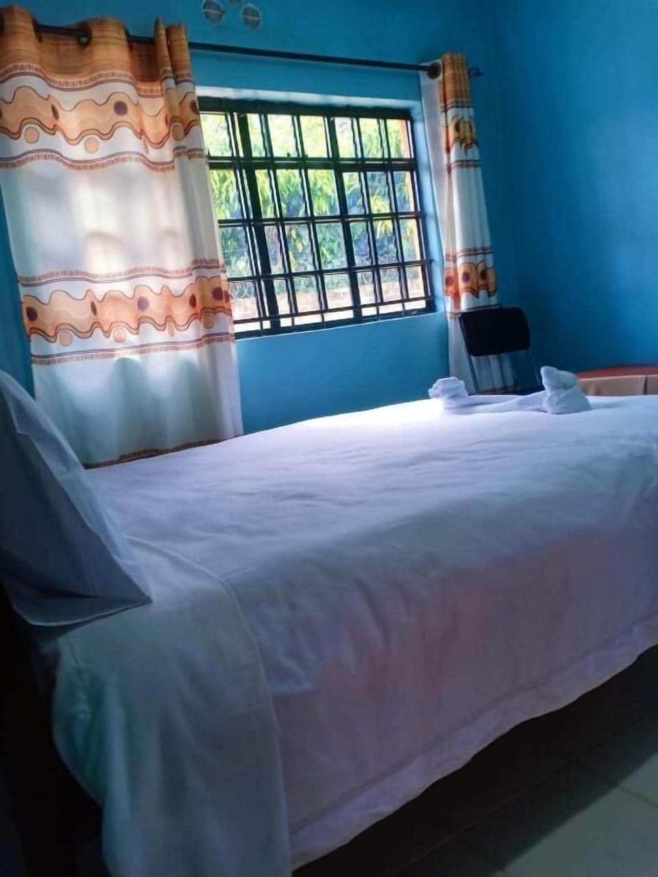 Deluxe Single Room, Garden View | Free WiFi, bed sheets