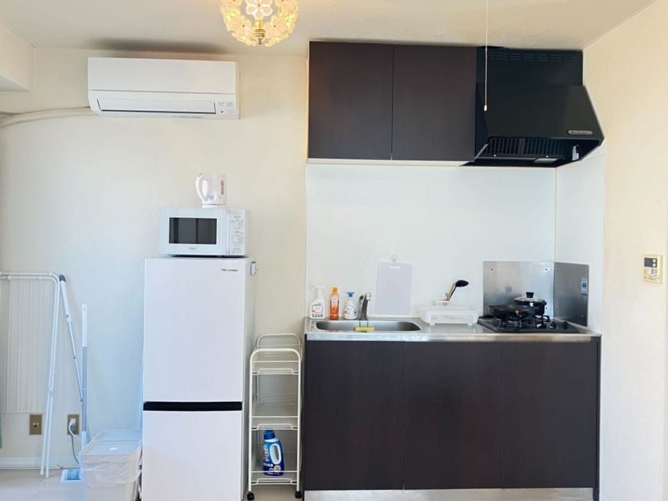 Family Apartment | Private kitchenette