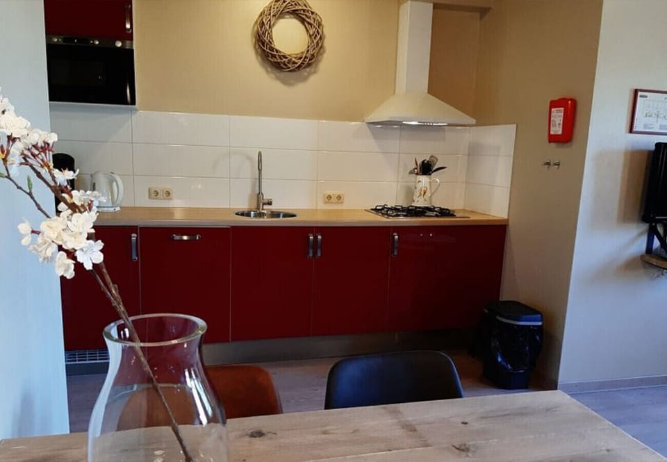 Vakantieboerderij Tergracht - 't Schob - kitchen