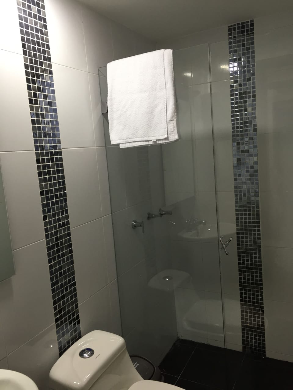 Single Room | Bathroom | Shower, hair dryer, towels