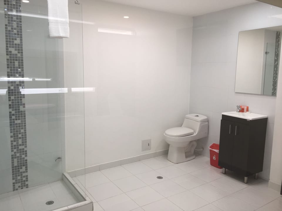 Shower, hair dryer (on request), towels