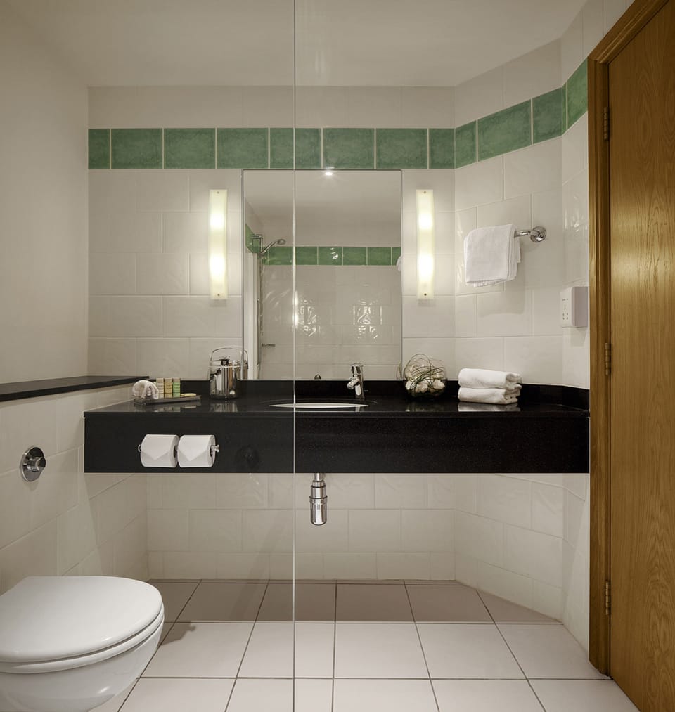 Combined shower/tub, free toiletries, hair dryer, towels