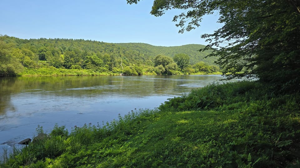 South View  of the West Branch from Private Access Area