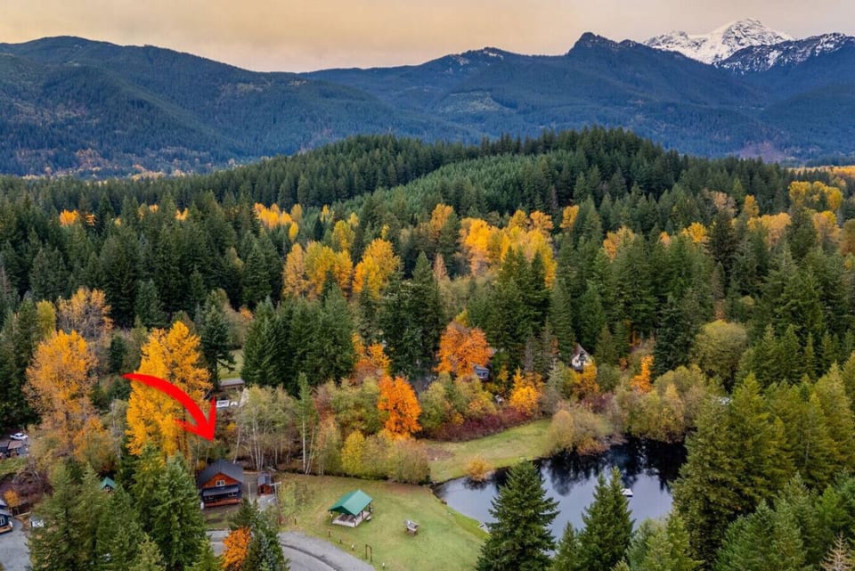 Drone view highlighting your cabin’s location (see red arrow) in a forested neighborhood, with a park and lake next door for extra outdoor fun!