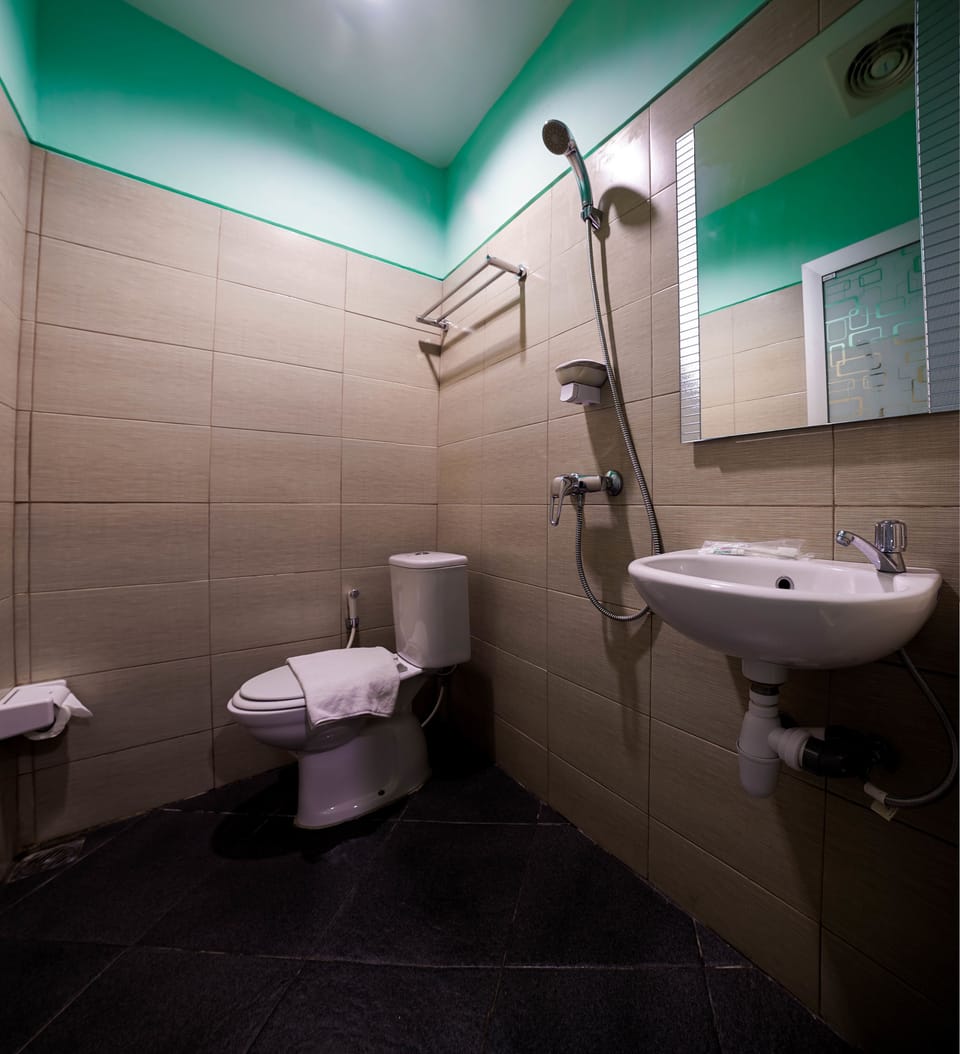 Shower, free toiletries, hair dryer