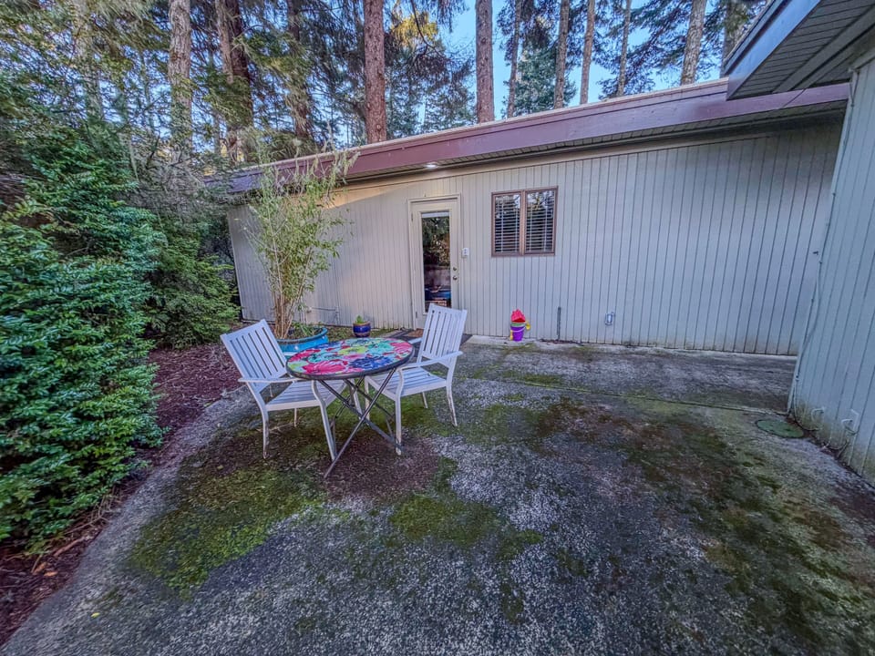 A concrete patio with two chairs and a small table set against a wooded backdrop.