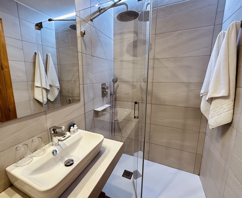 Executive Double or Twin Room (Planta Baja) | Bathroom | Rainfall showerhead, free toiletries, hair dryer, towels