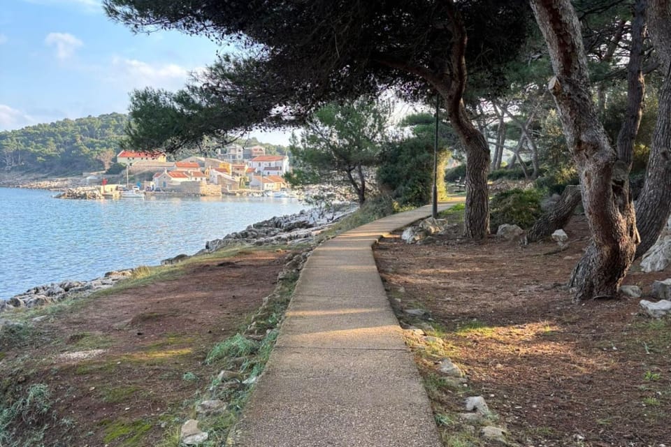 Surroundings