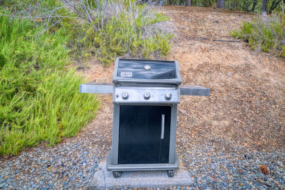 Outdoor BBQ grill for easy meals in a forest setting