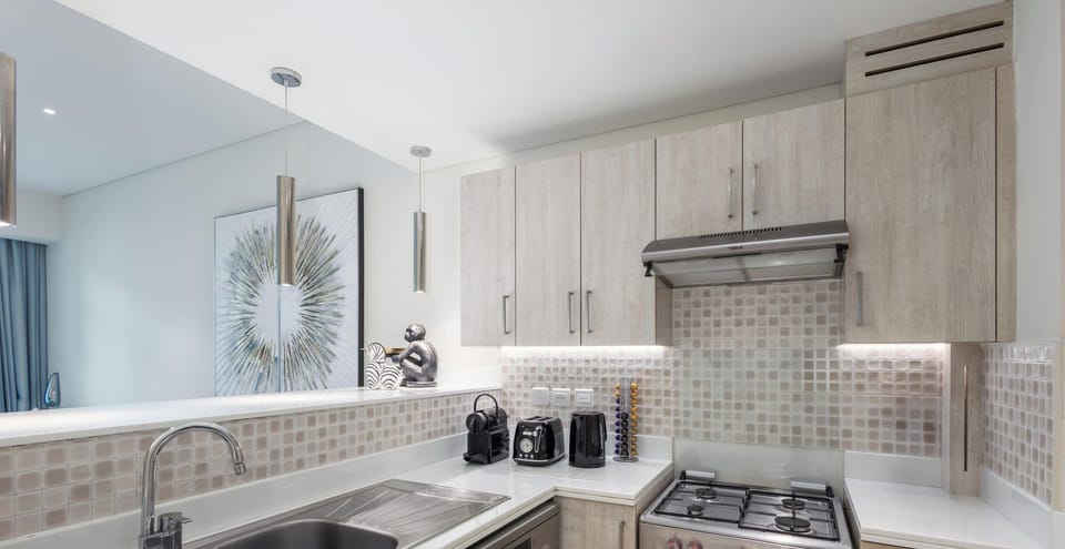 Apartment, Balcony, City View | Private kitchen