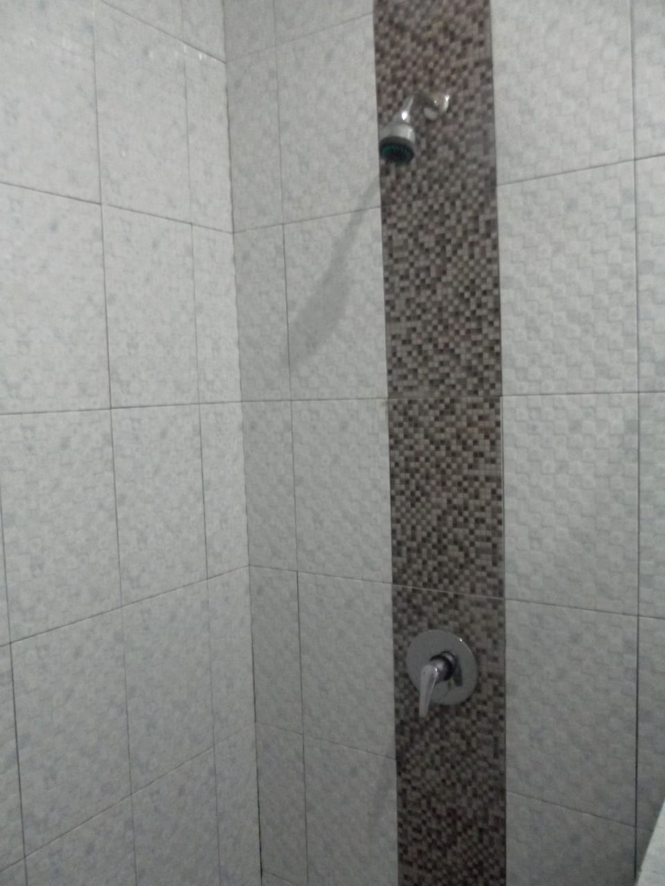Deluxe Double or Twin Room | Bathroom | Shower, free toiletries, towels