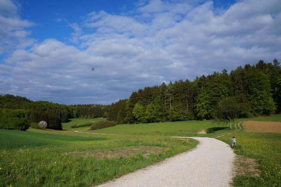Region [summer] (>5 km)