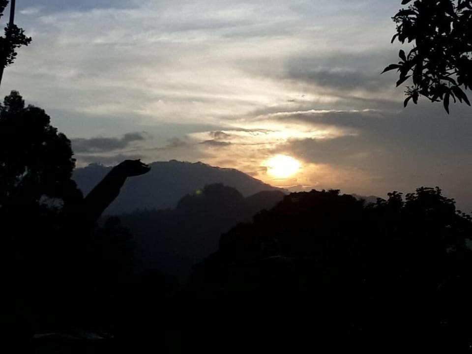 Deluxe Room, 1 Double Bed, Balcony, Mountain View | Miscellaneous
